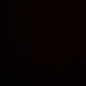 Meet your Posher, Lily